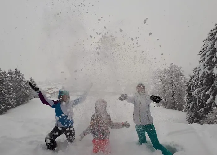 Karlhof Апартаменти *