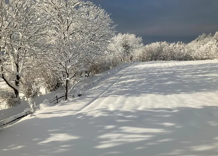 Karlhof Appartement *