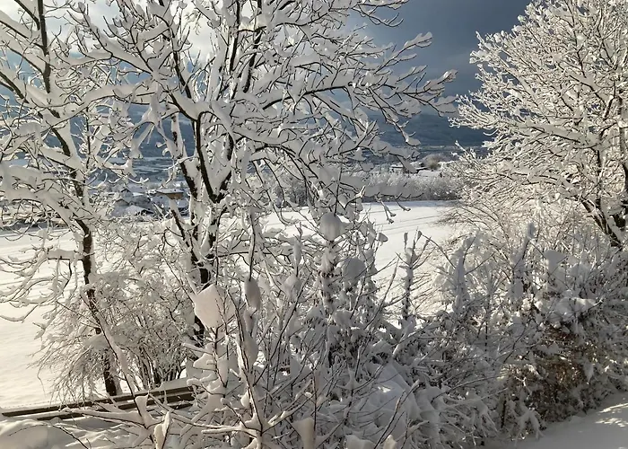 Karlhof * Інсбрук