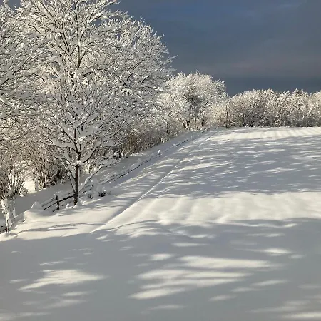 Karlhof 아파트 *